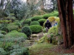 149 PARC ORIENTAL DE MAULEVIER MAINE ET LOIRE 2016 N1_000059